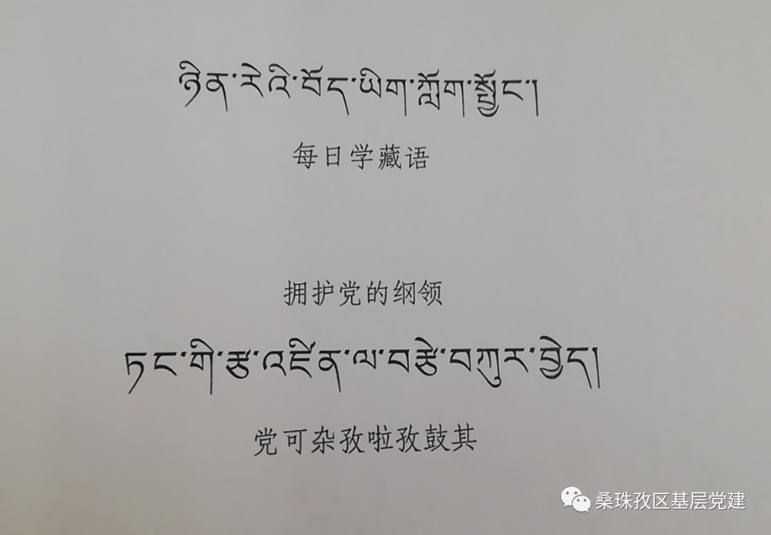 入党申请藏文版照片图片