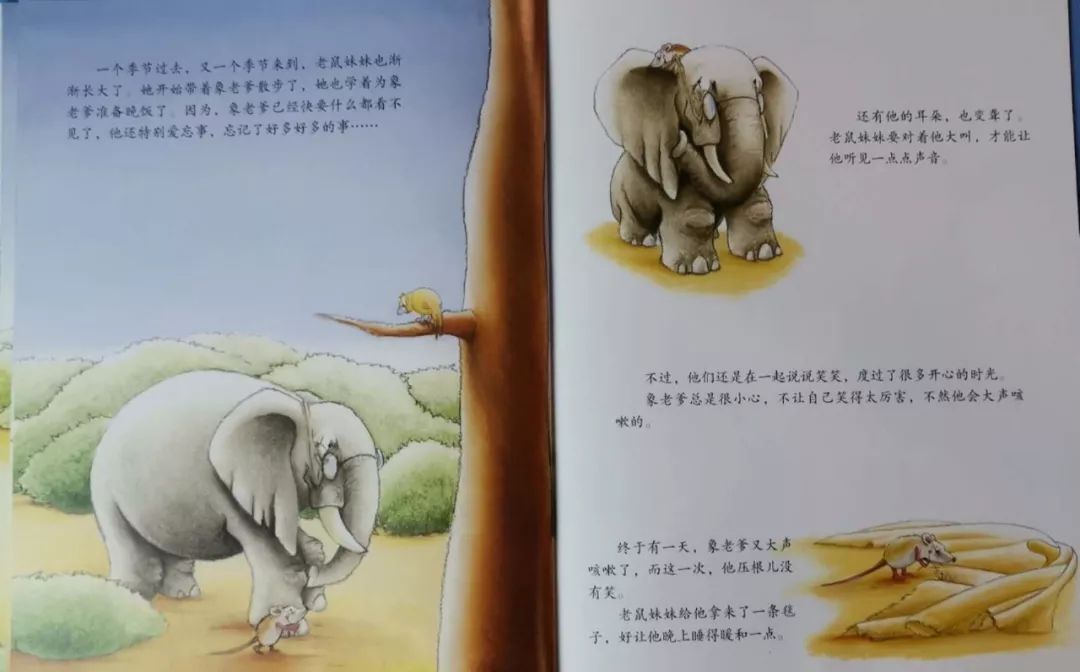 晚安故事--象老爹