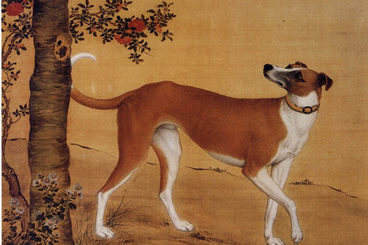 清代宫廷画师笔下的《十骏犬图》，乾隆皇帝的爱犬原来长这样啊_搜狐网