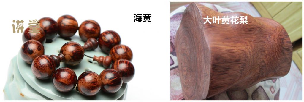 原创大叶黄花梨与海南黄花梨有什么区别