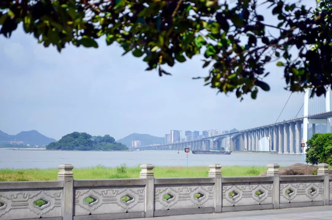 精密→金沙花園→鎮茂五金廠→寶恆繡品站→振安商業廣場站→平安樓