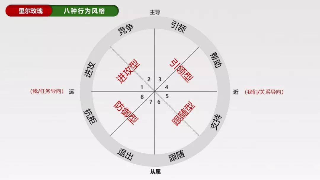 打破职场沟通困局里尔玫瑰开启人际互动的钥匙