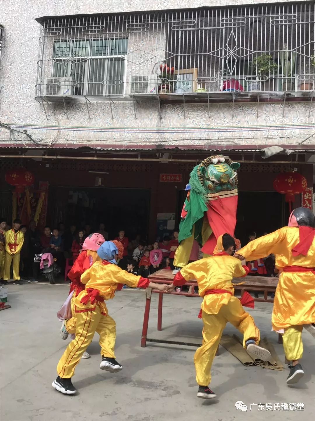 船埔厉害了客家山区的青狮上了央视