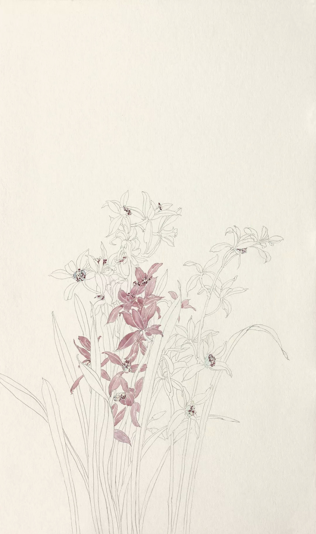 高强:设色没骨花卉系列教程之兰花_步骤