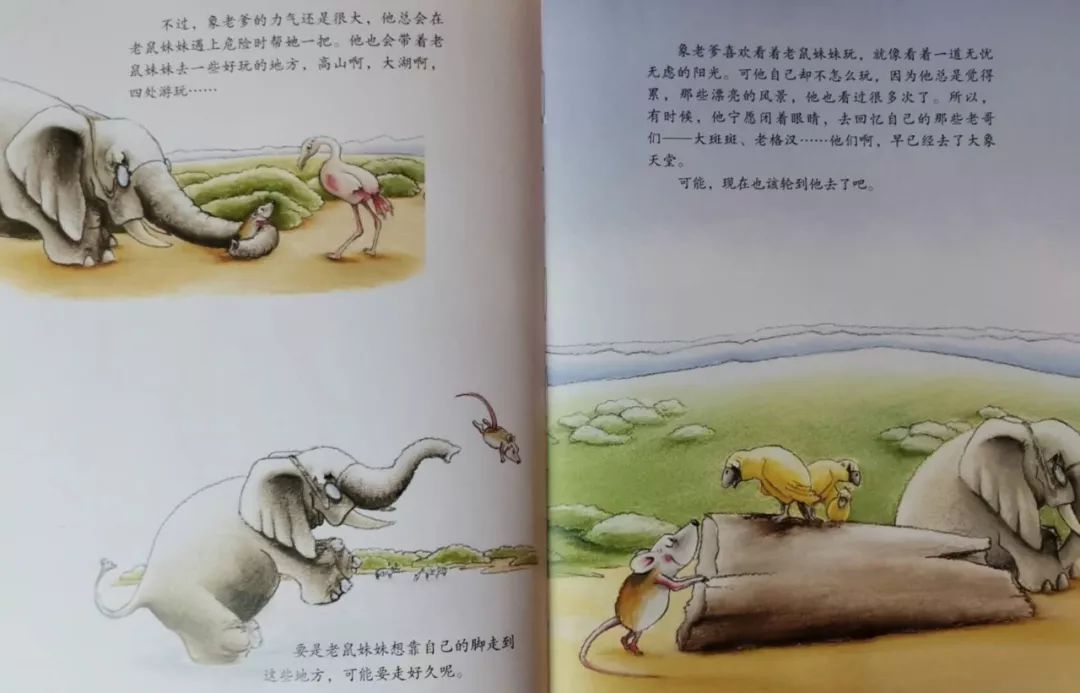 晚安故事--象老爹