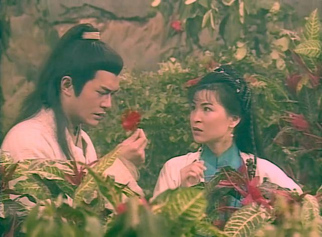 系列2公孙绿萼一见杨过误终身的岂是郭襄一个