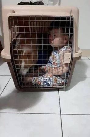 有客人就让柯基进笼子,可萌娃竟跟了进去,还把门关上了.