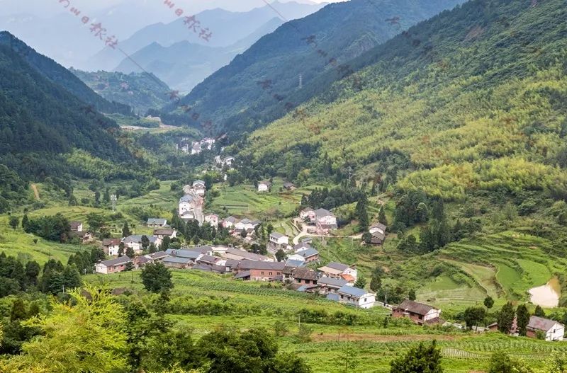 从脏乱差到清绿美  南川区金山镇龙山村,一个夹在金佛山,柏枝山和