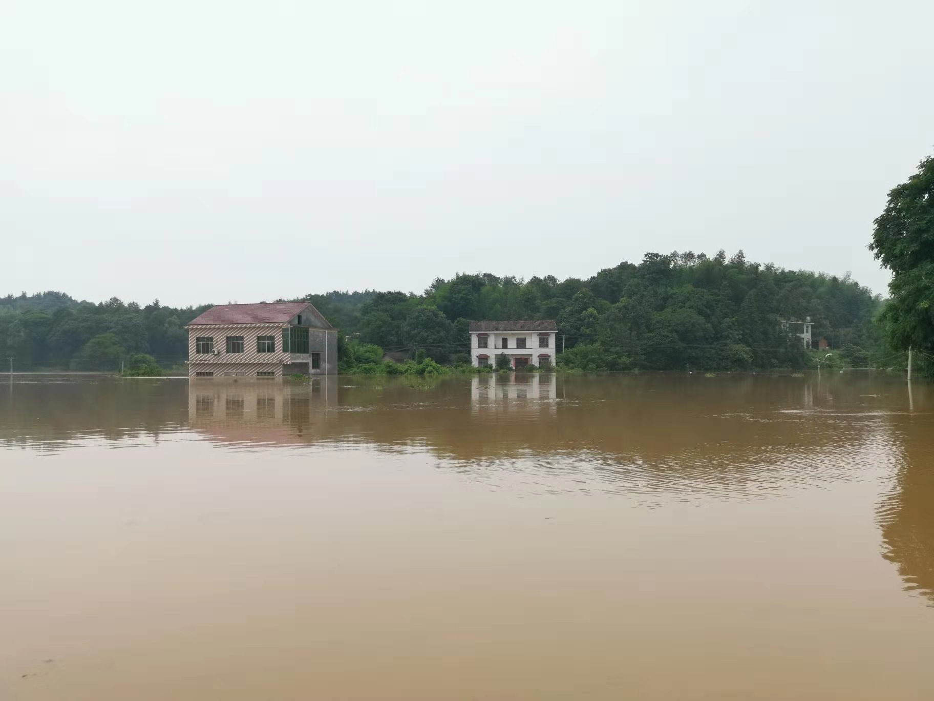 湖南醴陵市现50年一遇重大洪灾紧急转移12万群众