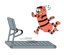 跑步机霍尔元件应用