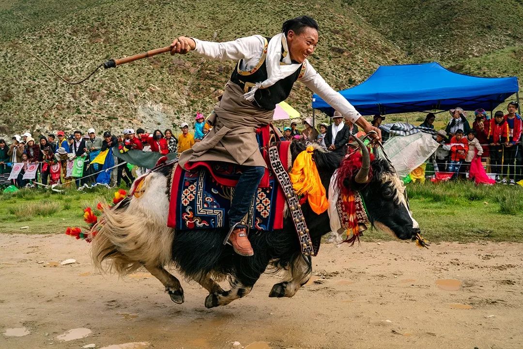 07  高晓红 赛牦牛组 忘掉山涧的清泉 忘掉森林的起伏 图源:高晓红