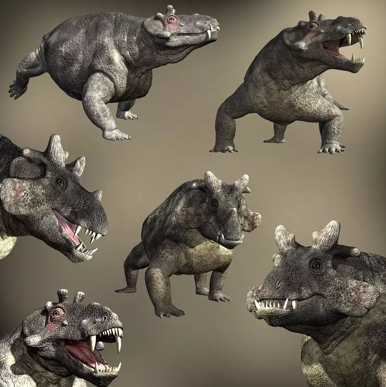 哥斯拉和金刚打起来啦古生物学家他两打了好几亿年了