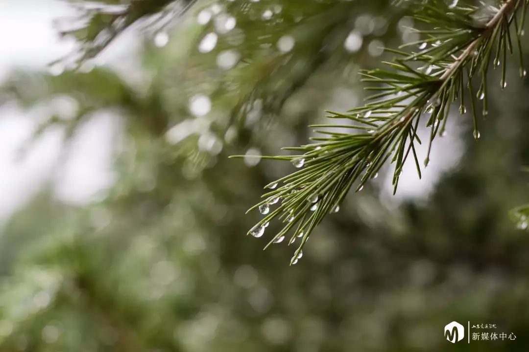 25度的陰雨天沒有考試的小日子可以這樣拍照