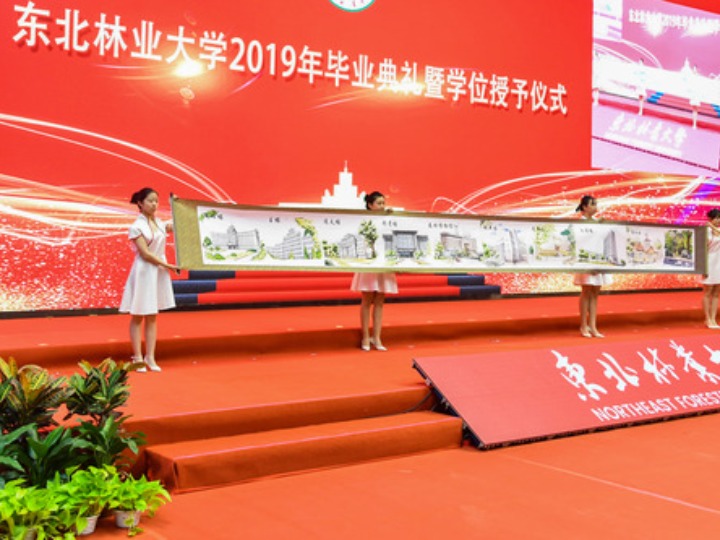 8米手绘长卷献礼母校,毕业典礼上这些学子有心了!_卷轴