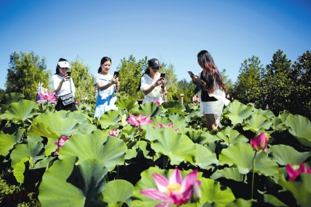 7月6日,遊人在臨汾襄汾縣