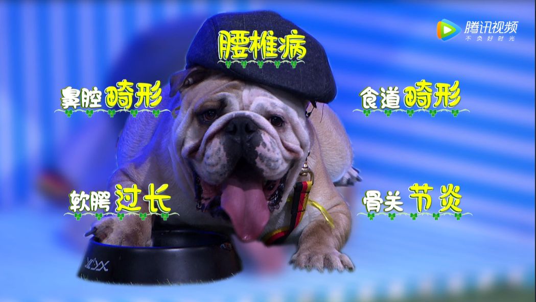 都有可能出现不同程度的畸形,连晚上睡觉打呼噜的声音过长也被曝出