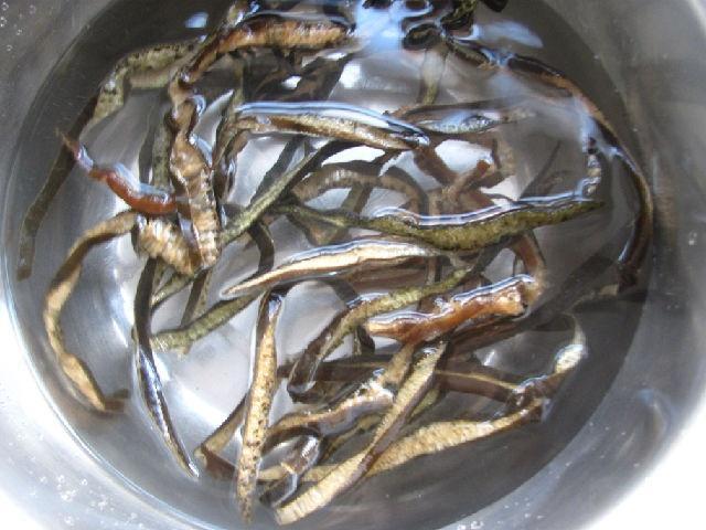 原创海茸是海藻中营养丰富,口感鲜美的绿色天然食品, 健康美味