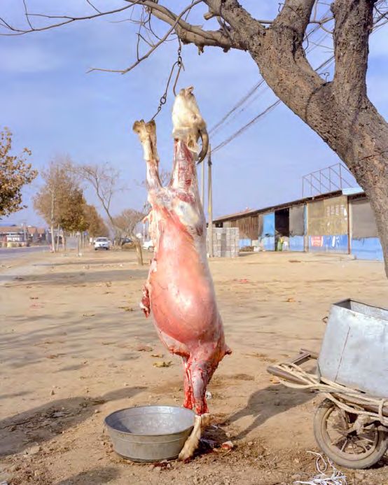 张晓有很多人为我不摄影了而感到惋惜