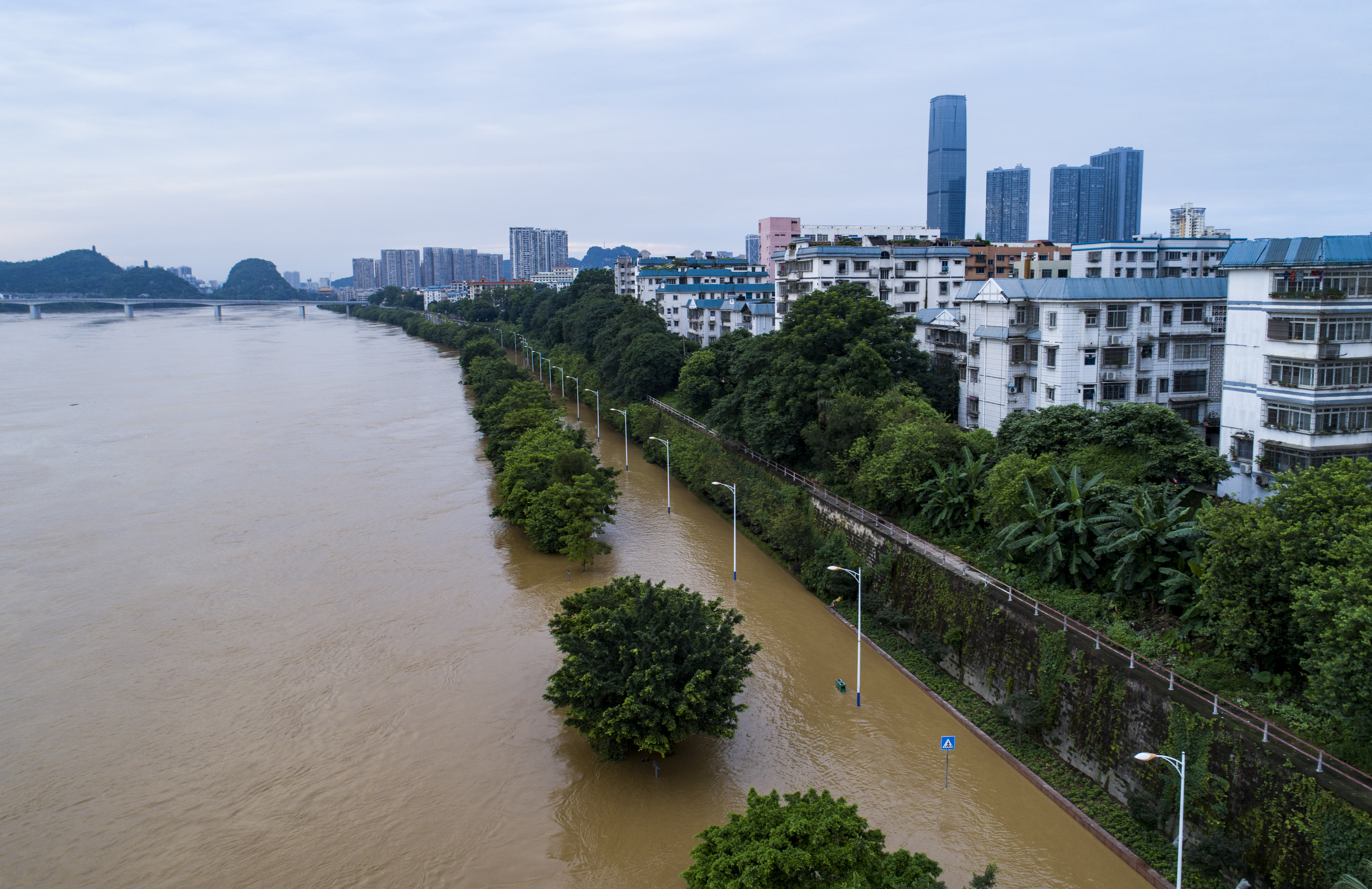 柳江水质图片