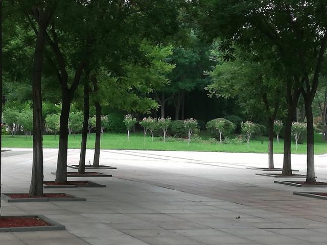 随手拍山东德州市委大楼前的小广场