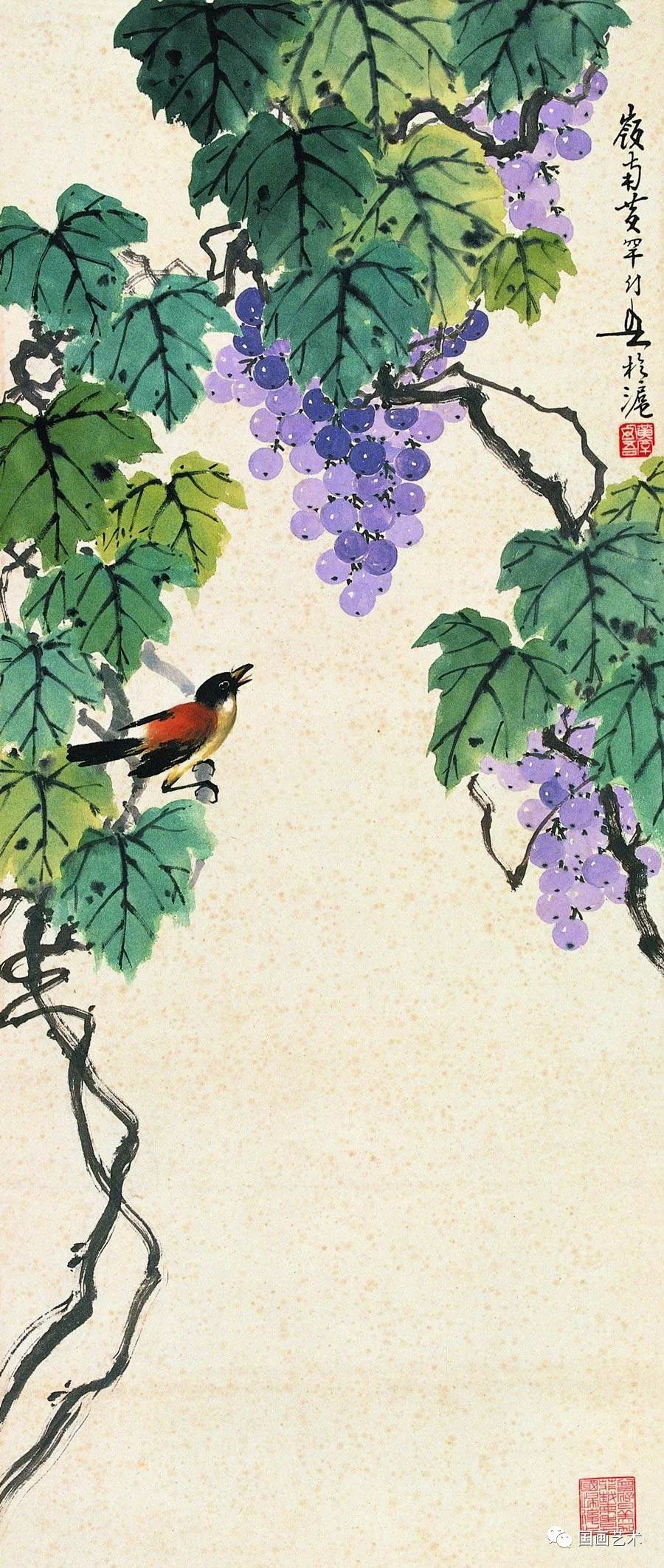 现当代名家黄幻吾笔下的葡萄小鸟