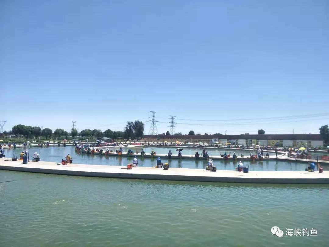 中华垂钓大赛河北保定选拔赛连战连捷