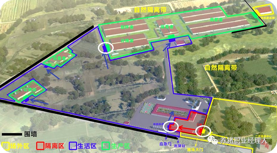 當前防控非瘟及發生非瘟豬場復養之要點