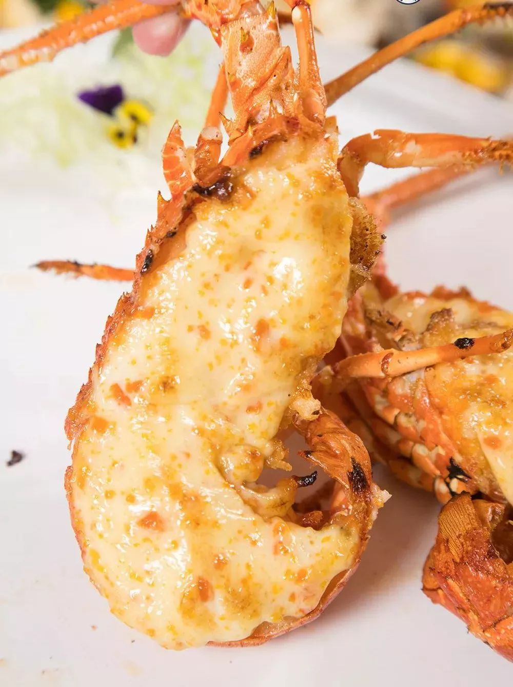 超大只的龙虾躺在碗里,360°霸气侧露,还没吃过海胆酱焗龙虾的小编,一