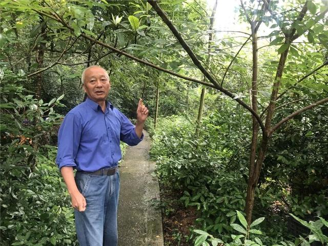 壮丽70年兴村百老慧丨陈兴龙像树木一样坚毅像蜜蜂一样勤劳