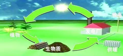 重磅消息生物质能开发利用带来新的曙光