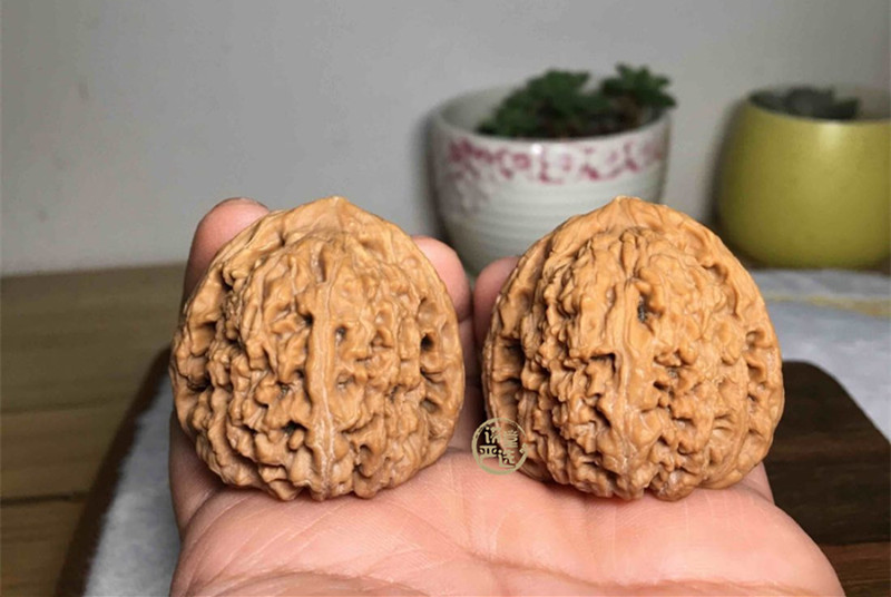 文玩核桃南疆石特点是什么？_搜狐网