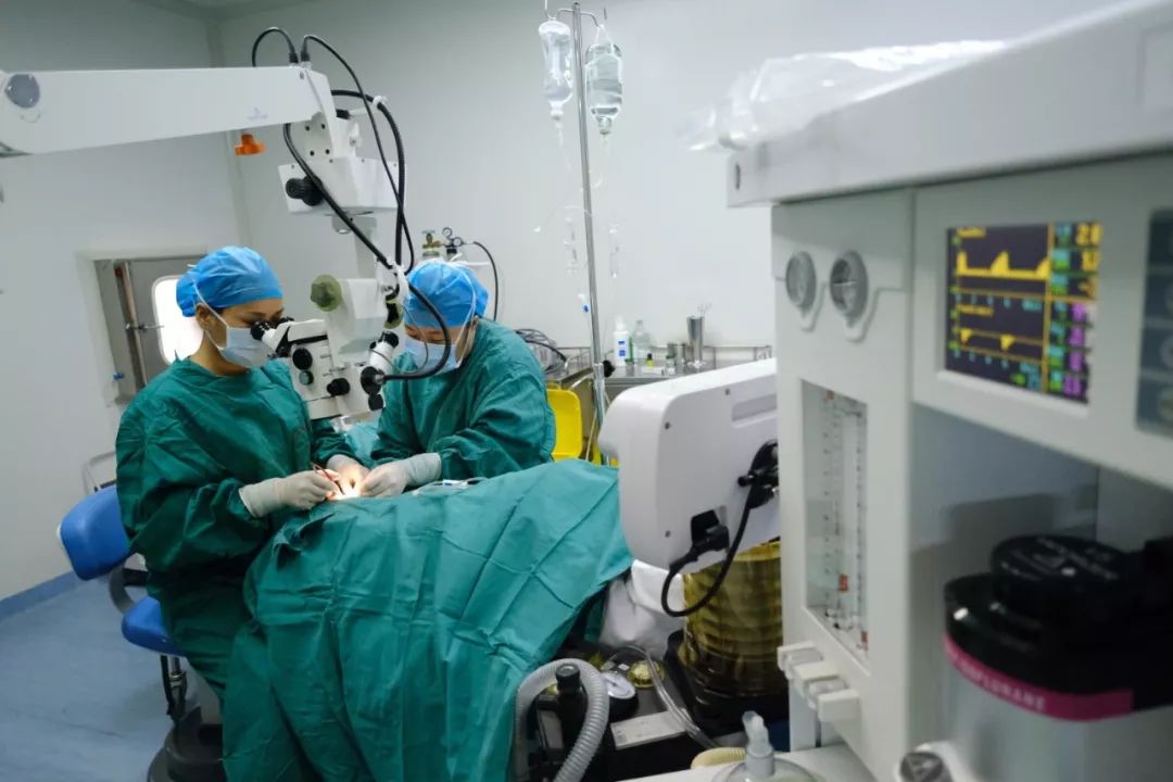 上林小雅莉安装义眼手术成功理想长大了当记者上林时空