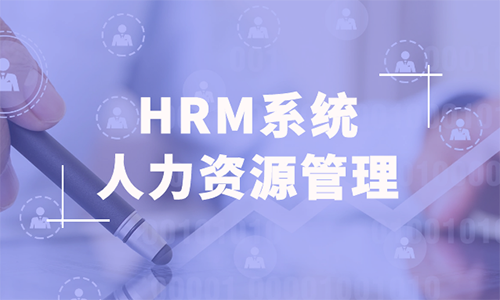 hrm人力資源管理系統平臺