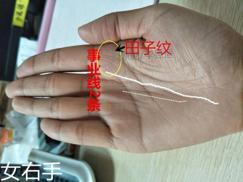 手相巽宫这5个符号,命里带财,食禄自来!