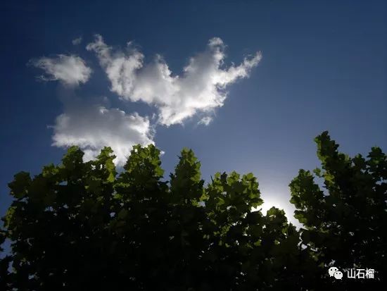 請給我一朵雲今天小滿夏天真的來了請給我一朵雲一朵欲雨的雲雨,不大