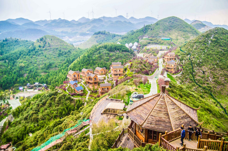 夏日六盘水,这是我去凉都避暑的第三年_梅花山