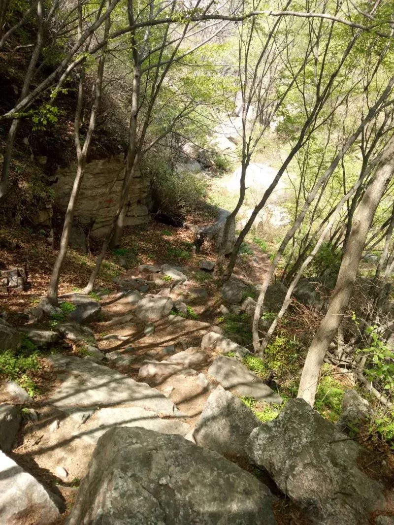 平山猪圈沟图片