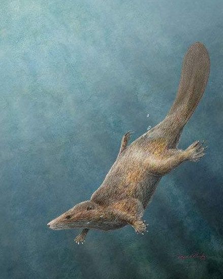 哥斯拉和金刚打起来啦古生物学家他两打了好几亿年了