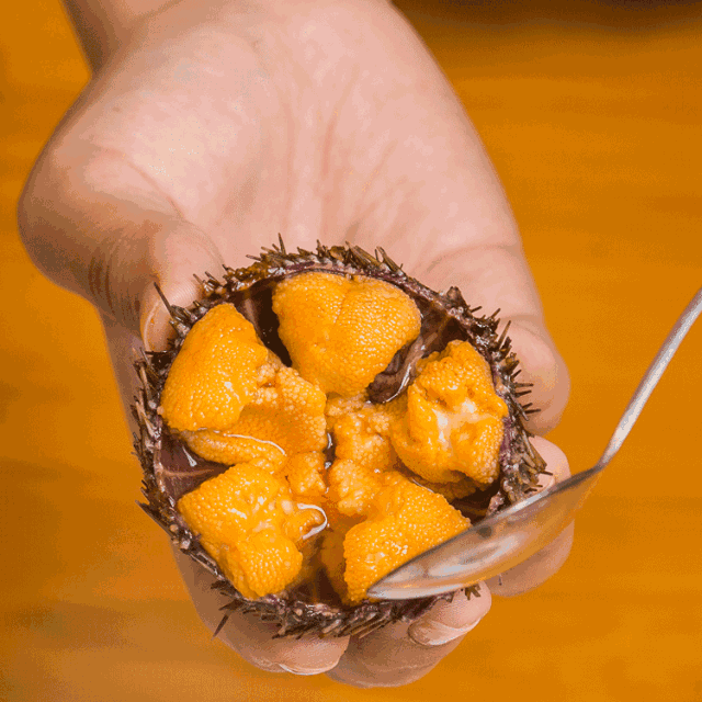 轮番刷无压力!_河豚