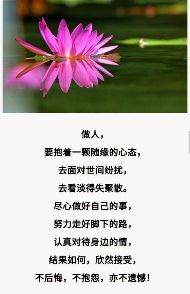 人生路上,得不喜,失不气,一切看淡,一切随缘