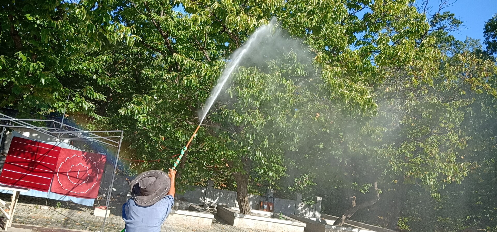 积极组织林果技术人员深入全市100余个果园,针对抗旱浇水,整形修剪