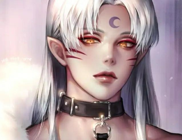 评选动漫男神和女神你会选谁网友杀生丸和艾斯德斯