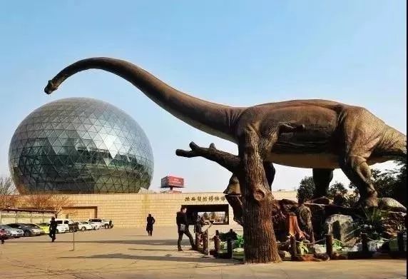 参观高陵家长们陕西自然博物馆将免费开放5天暑假带上孩子去参观吧