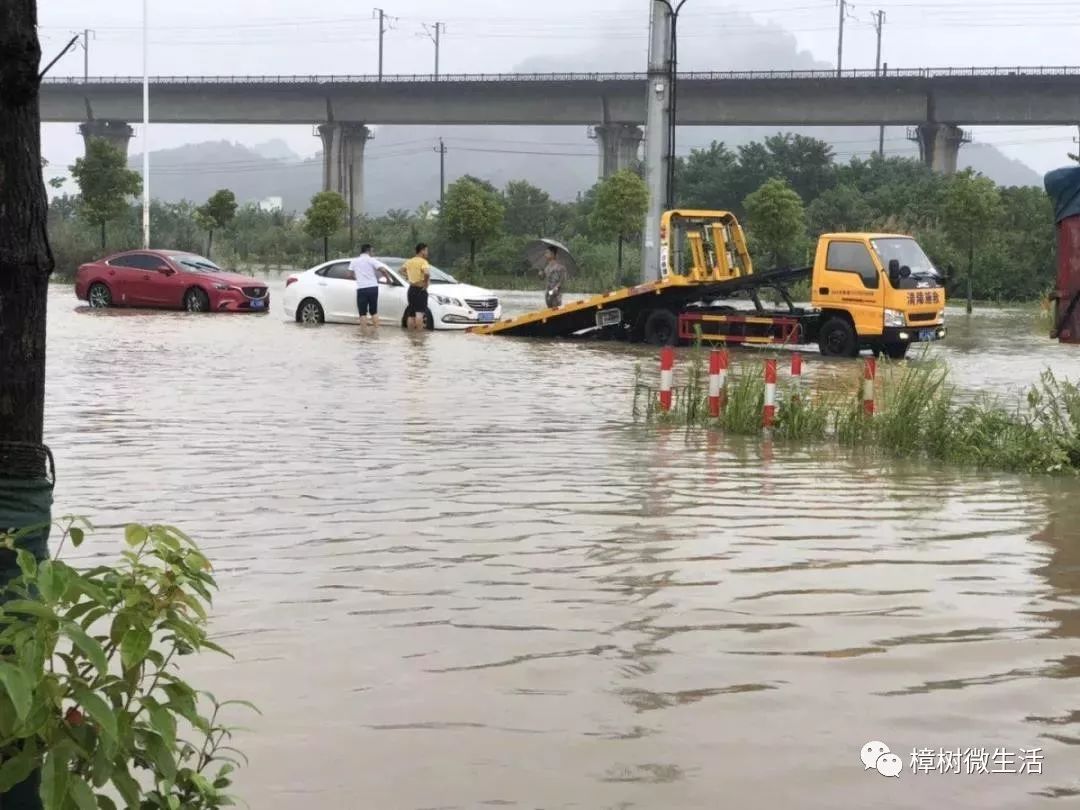 樟树挺住江西挺住暴雨袭击大江西多图现场实况展示含樟树