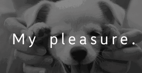 my pleasure /its my pleasure.别在意!dont mention it!