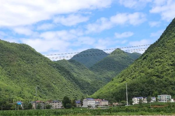 县人大赴湾潭镇现场督办人大代表重点建议