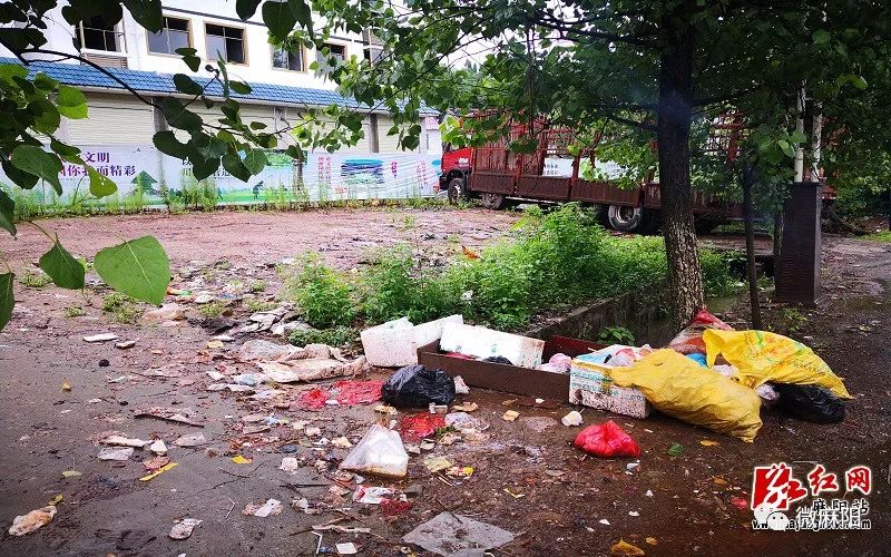 【曝光台】记者暗访大路坳等村 道路两旁垃圾成堆