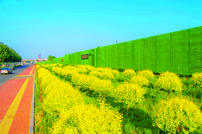 "绿墙"围挡扮靓城北端