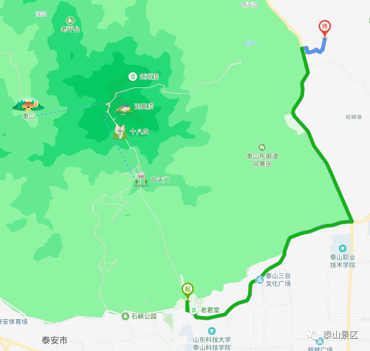 来泰山在云间寻茶隐