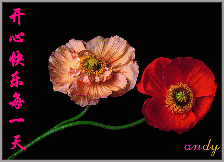 450_325gif 动态图 动图